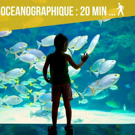 Lägenhet - - Terrace With Sea View - Malabo *