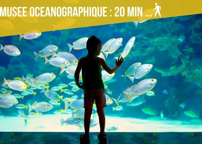 Lägenhet - - Terrace With Sea View - Malabo *