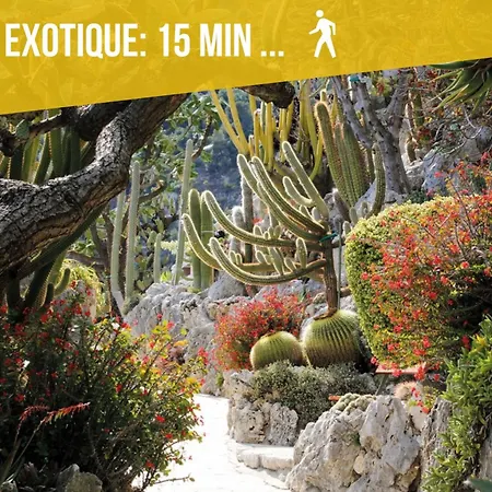 Daire - - Terrace With Sea View - Malabo Cap-d'Ail