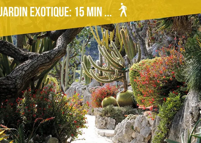 Appartement - - Terrace With Sea View - Malabo Cap-d'Ail